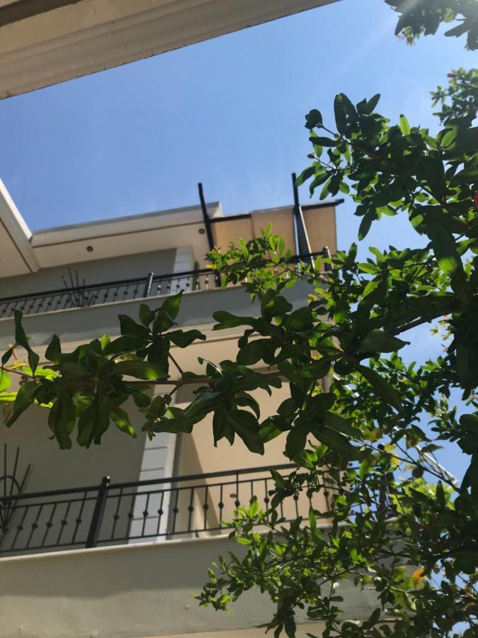 Villa Dorita Luxury Apartments بارغا المظهر الخارجي الصورة